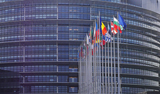 Die Positionen von EU-Parlament und Rat zur neuen Erneuerbaren-Richtlinie und Governance-Verordnung